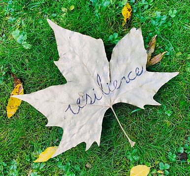 A pale leaf with the word resilience written on it, lying on grass